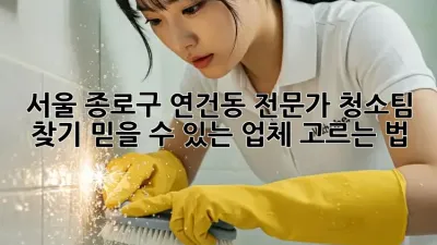 서울 종로구 연건동 전문가 청소팀 찾기: 믿을 수 있는 업체 고르는 법